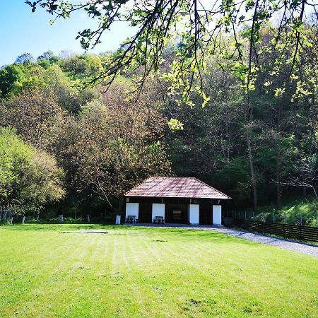 Mateo Transalpina Otel Săsciori Dış mekan fotoğraf
