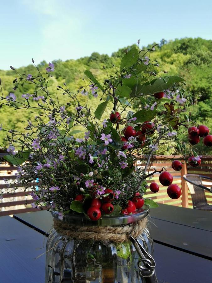 Mateo Transalpina Otel Săsciori Dış mekan fotoğraf