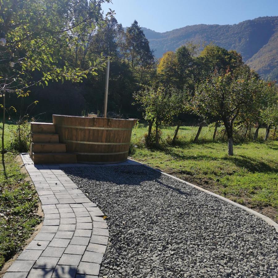 Mateo Transalpina Otel Săsciori Dış mekan fotoğraf