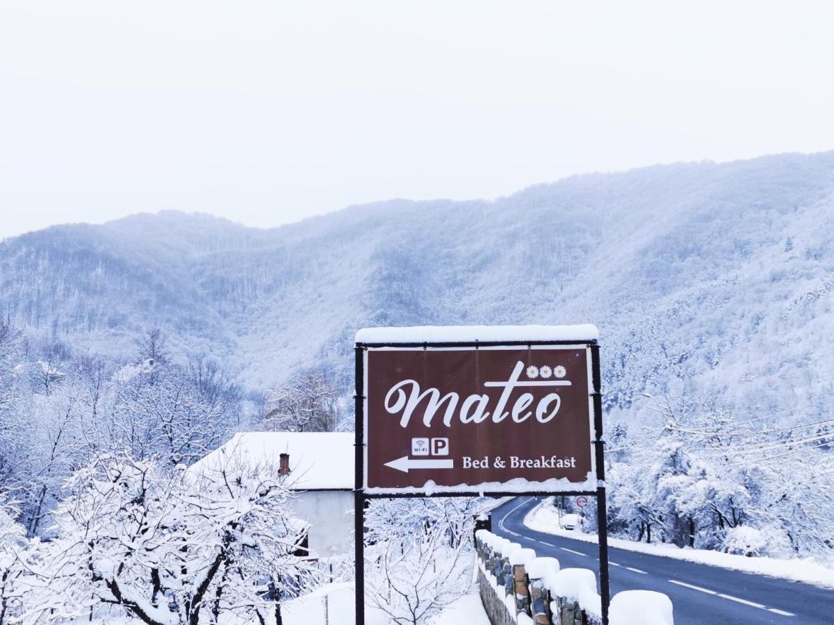 Mateo Transalpina Otel Săsciori Dış mekan fotoğraf