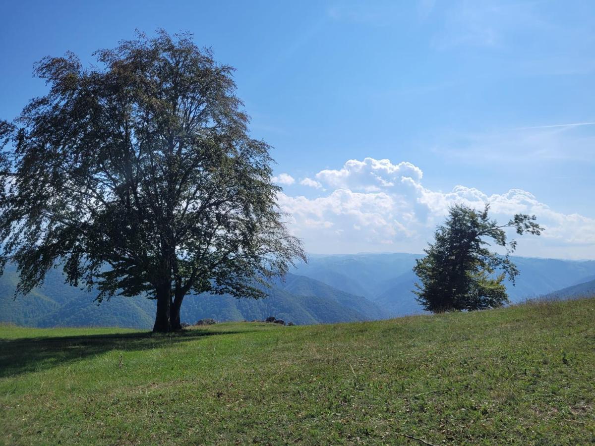 Mateo Transalpina Otel Săsciori Dış mekan fotoğraf