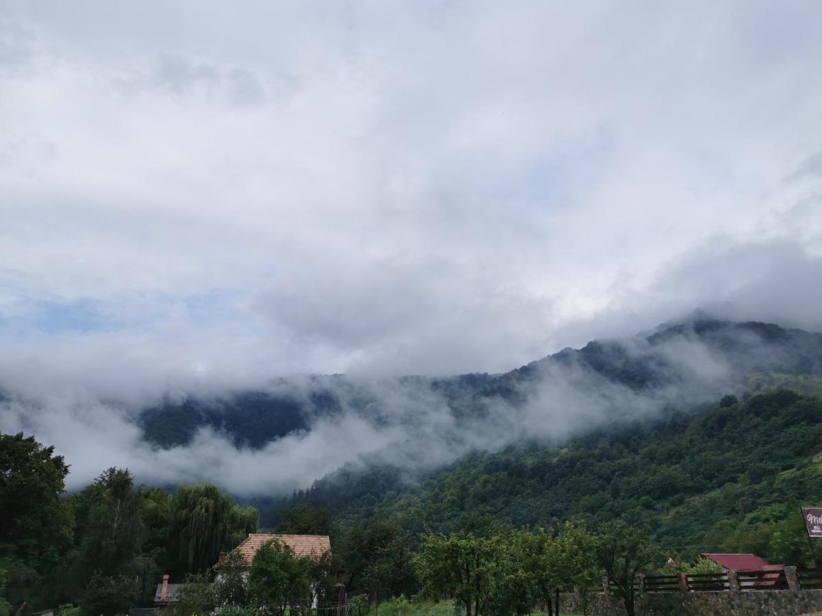Mateo Transalpina Otel Săsciori Dış mekan fotoğraf
