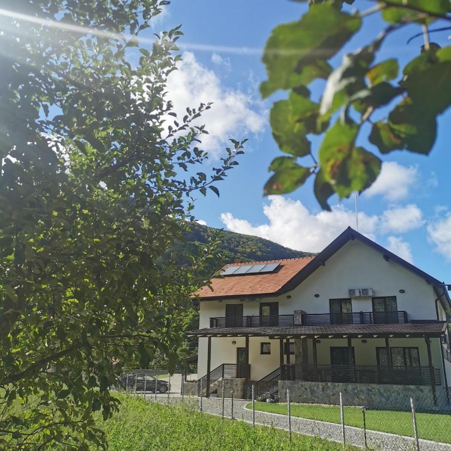 Mateo Transalpina Otel Săsciori Dış mekan fotoğraf