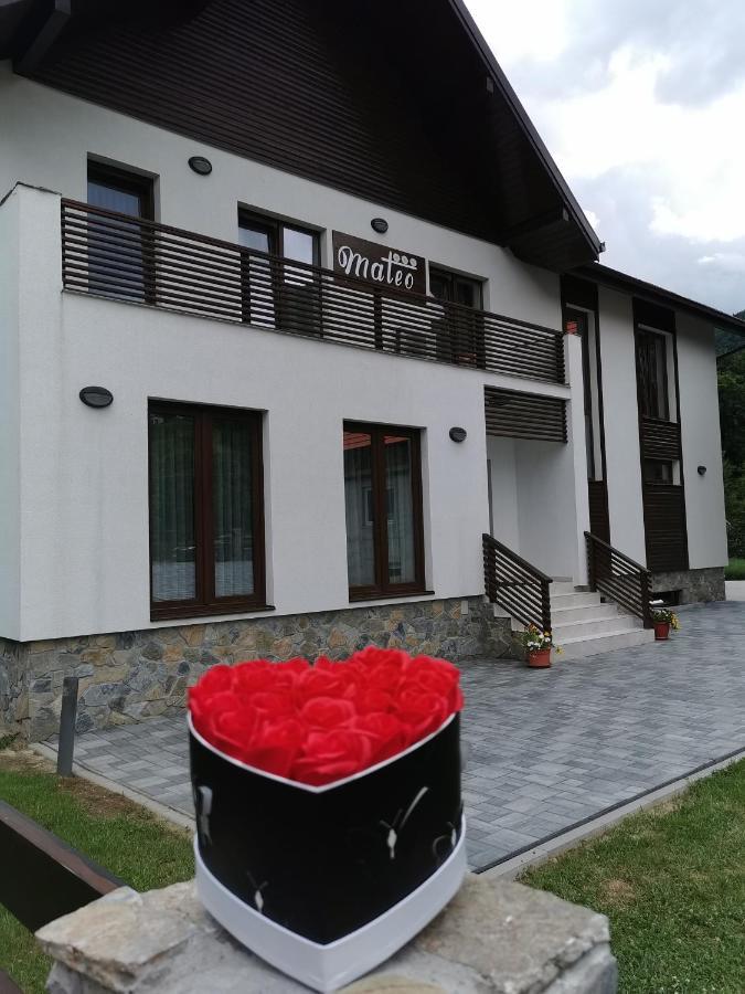 Mateo Transalpina Otel Săsciori Dış mekan fotoğraf