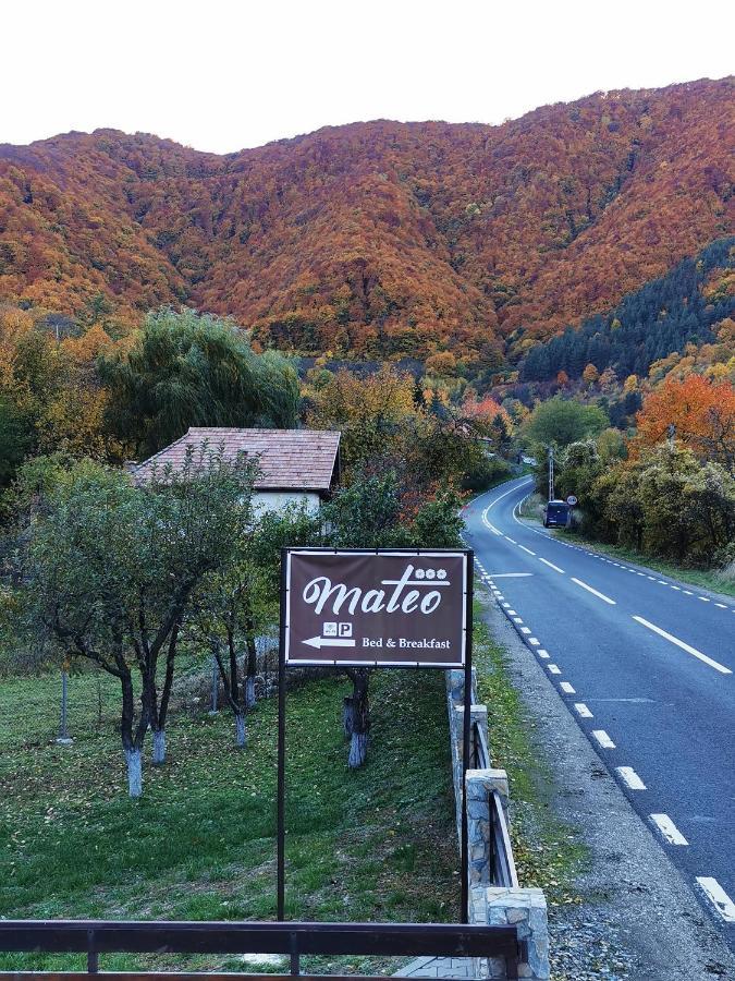 Mateo Transalpina Otel Săsciori Dış mekan fotoğraf