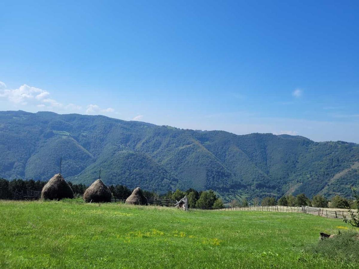 Mateo Transalpina Otel Săsciori Dış mekan fotoğraf