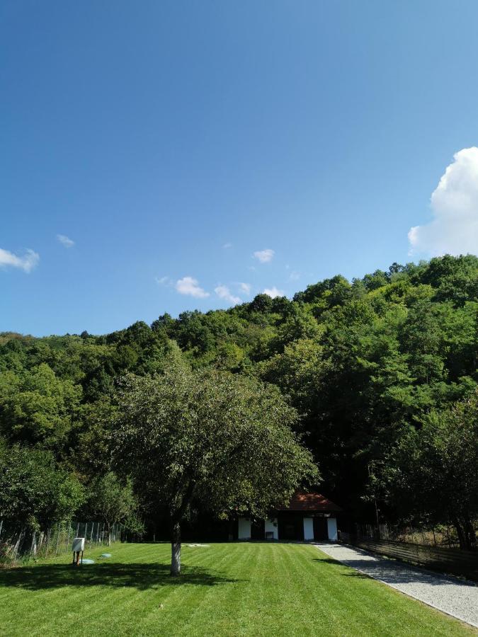 Mateo Transalpina Otel Săsciori Dış mekan fotoğraf