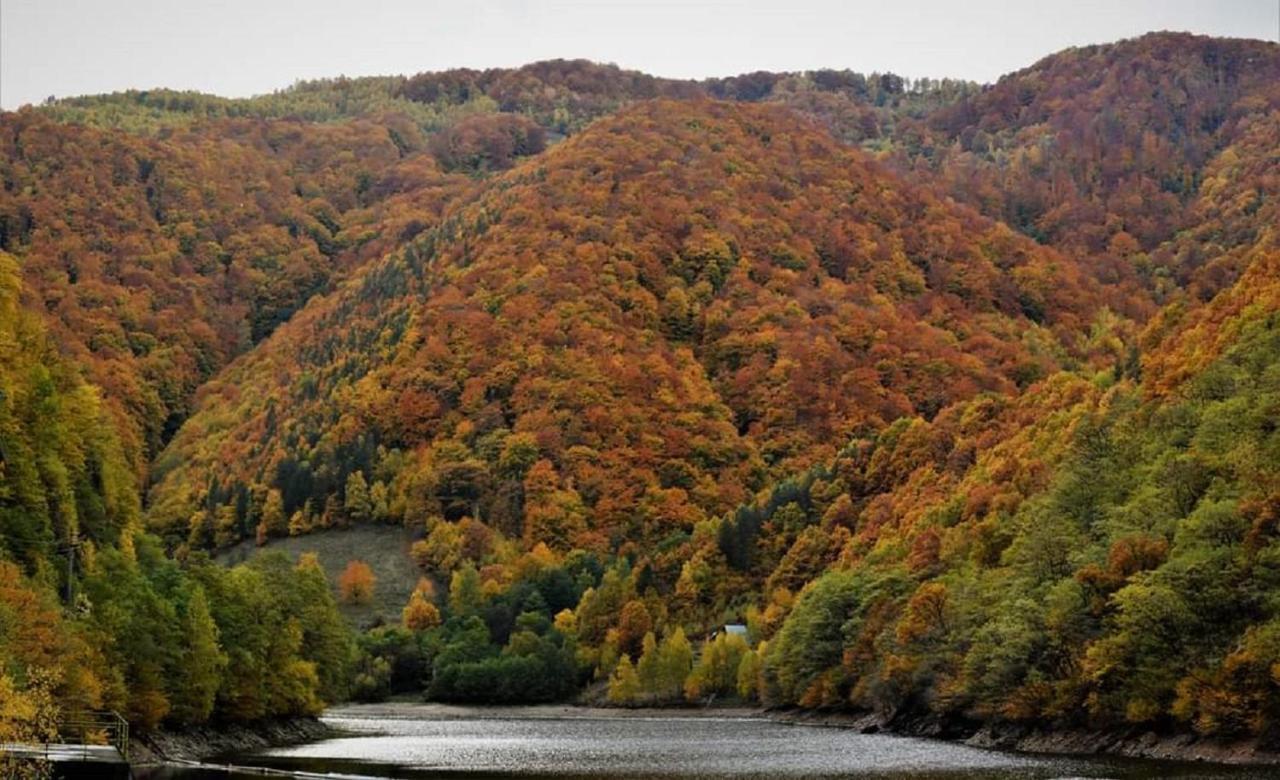 Mateo Transalpina Otel Săsciori Dış mekan fotoğraf
