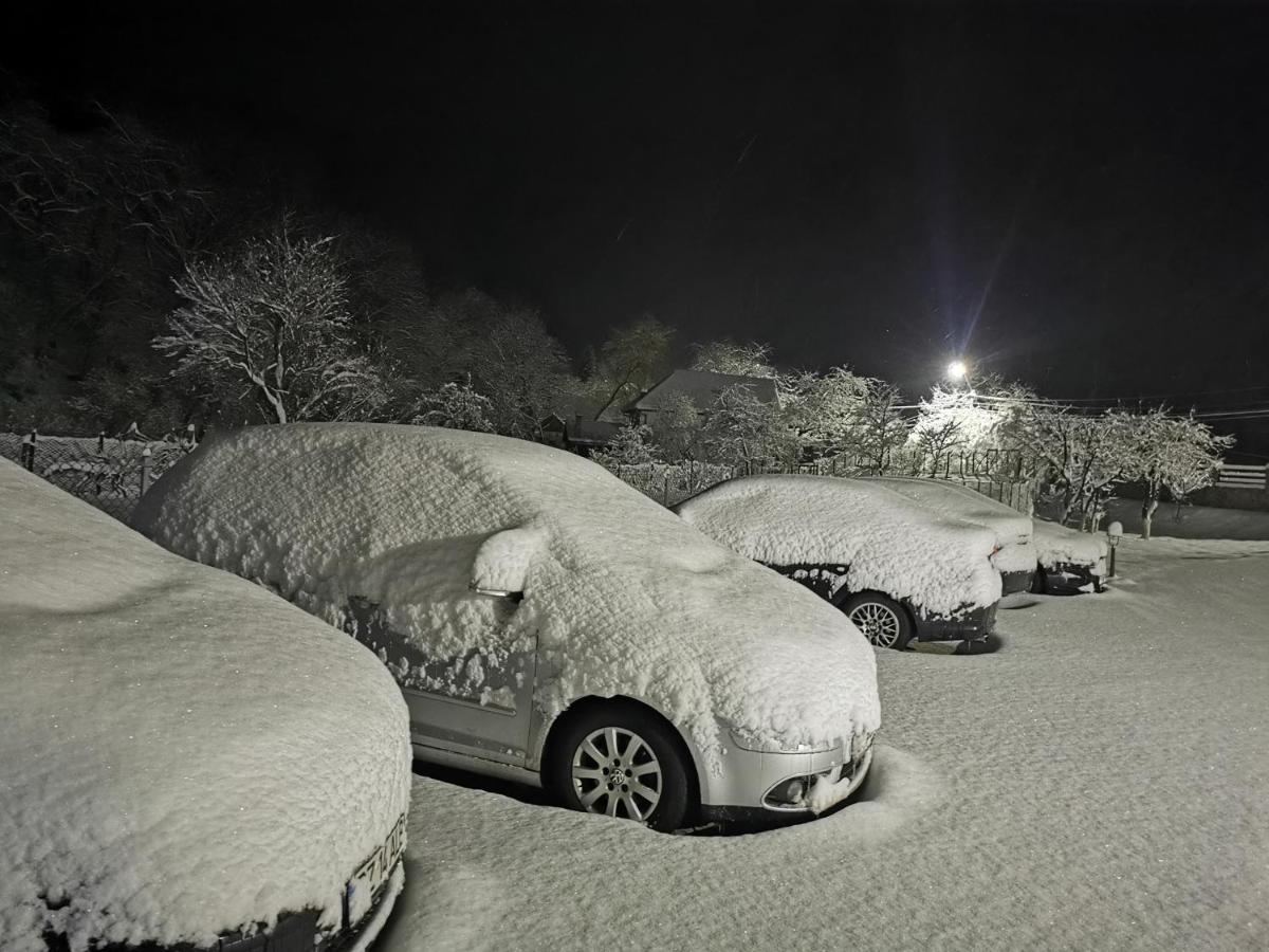 Mateo Transalpina Otel Săsciori Dış mekan fotoğraf