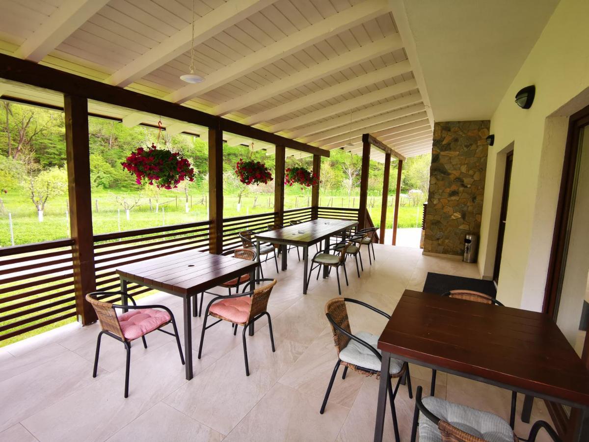 Mateo Transalpina Otel Săsciori Dış mekan fotoğraf