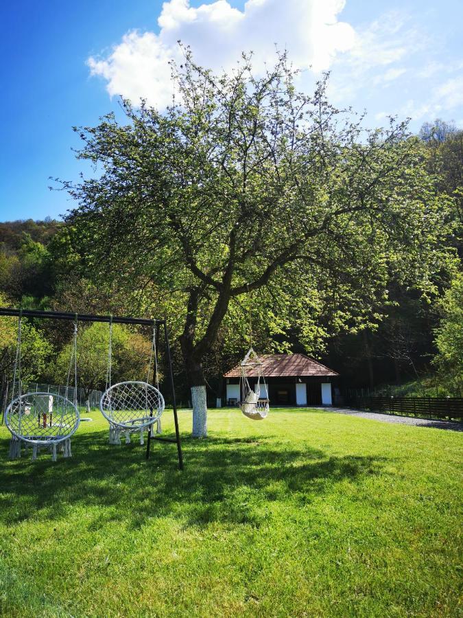 Mateo Transalpina Otel Săsciori Dış mekan fotoğraf